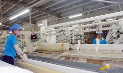 Tăng cường hỗ trợ người lao động Quảng Ninh nỗ lực vượt qua dịch Covid-19