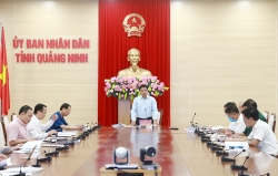 UBND tỉnh Quảng Ninh tháo gỡ khó khăn cho Vingroup triển khai một số dự án