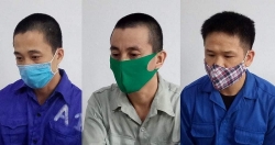 Quảng Ninh: Truy tố 3 đối tượng về hành vi vận chuyển trái phép 63 bánh heroin