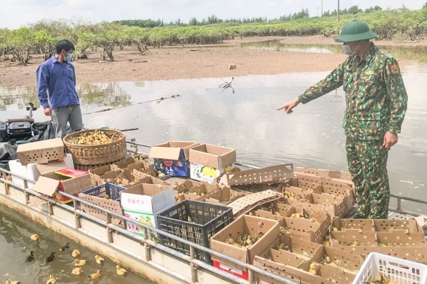 Tổ tuần tra kiểm soát Đồn Biên phòng Hải Hòa thu giữ tang vật để xử lý theo quy định (ảnh: báo Quảng Ninh) 