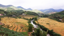 Quảng Ninh lần đầu tiên tổ chức lễ hội 