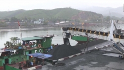 Quảng Ninh: Bắt khẩn cấp 4 cán bộ Công ty Tuyển than Hòn Gai