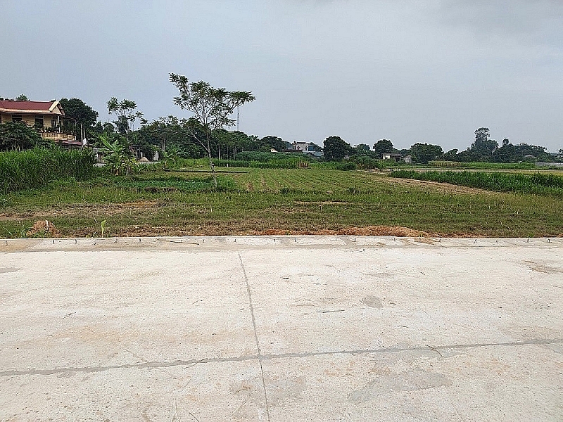 Thanh Hóa: Gần 50 lô đất trúng đấu giá bị hủy kết quả