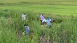 Nghi án mẹ sát hại con rồi ôm lên đường tàu để tự vẫn tại Nghệ An