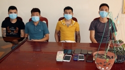 Bắt nhóm đối tượng chuyên lừa đảo bán "lan đột biến" tại Hà Nam