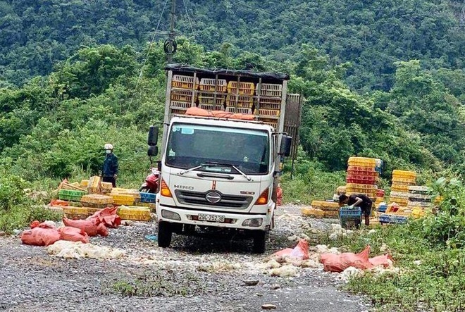 Hòa Bình: Bắt quả tang 2 đối tượng vứt hơn hơn 3 tấn gà chết ra đường Hòa Bình: Bắt quả tang 2 đối tượng vứt hơn hơn 3 tấn gà chết ra đường