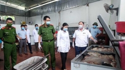 Thái Nguyên: Phát hiện một tấn thịt nhiễm virus tả lợn Châu Phi tại huyện Phú Bình