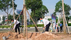 Becamex IDC phát động Tết trồng cây nhân kỷ niệm 131 năm Ngày sinh Chủ tịch Hồ Chí Minh