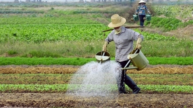 Các địa phương từng bước song hành kiểm soát dịch bệnh và khôi phục sản xuất