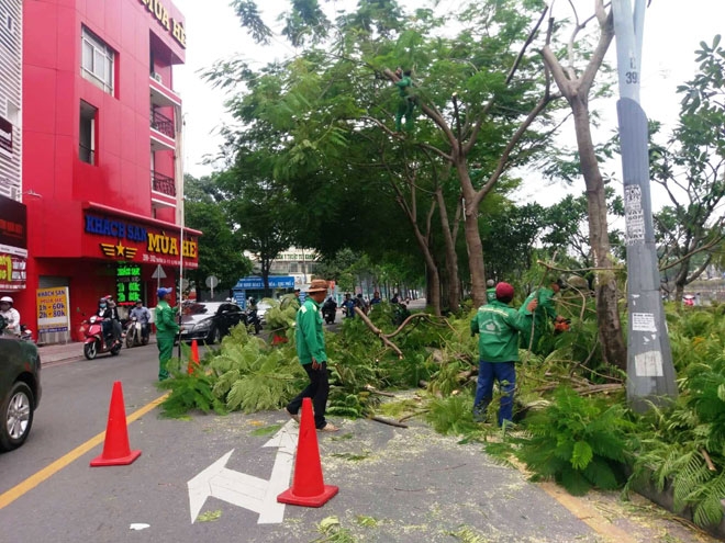 Hiểm họa từ cây xanh, biển quảng cáo khổ lớn trong mùa mưa bão