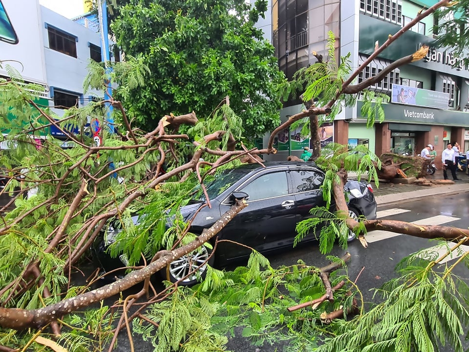 Tình trạng dông, lốc tại các khu vực đô thị ngày càng phổ biến