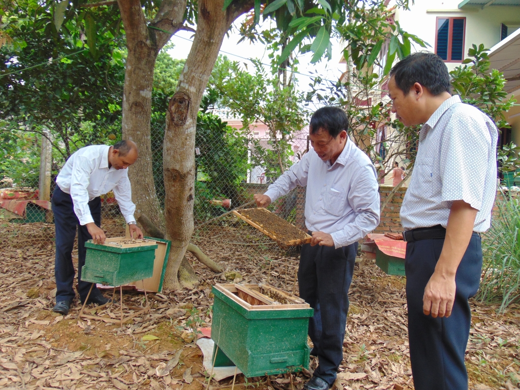 Phát huy nội lực hoàn thành kế hoạch về đích Nông thôn mới nâng cao