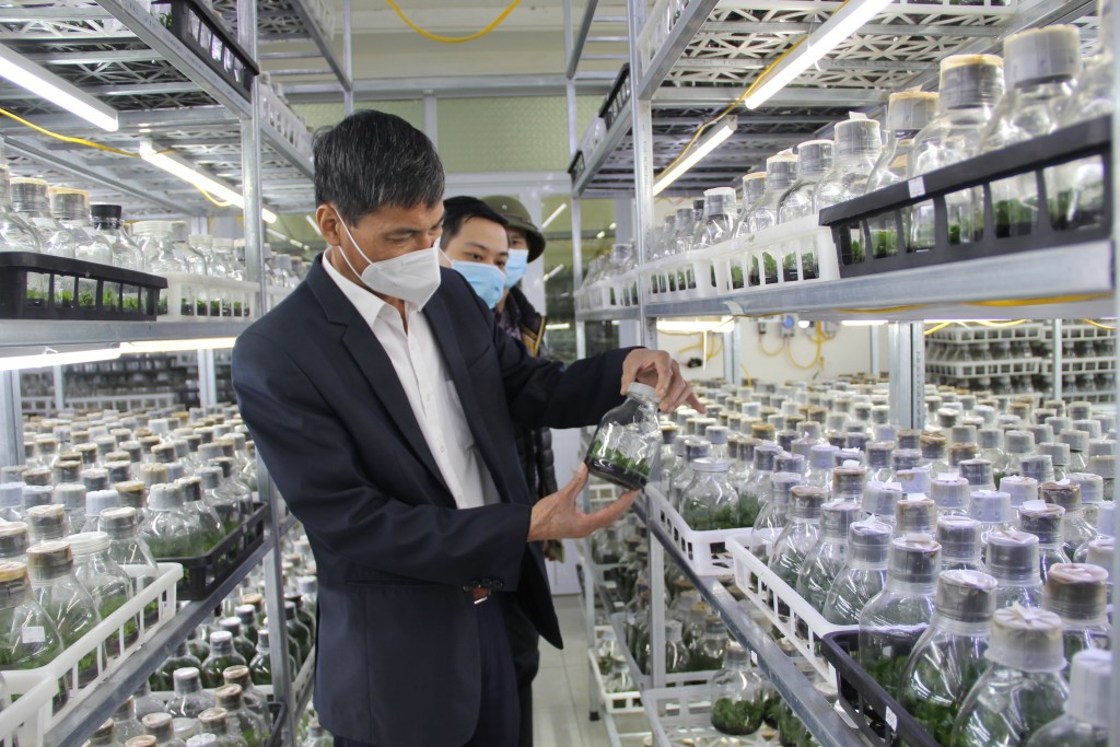 Hà Nội chủ trương xây dựng trung tâm nông nghiệp công nghệ cao điển hình của cả nước