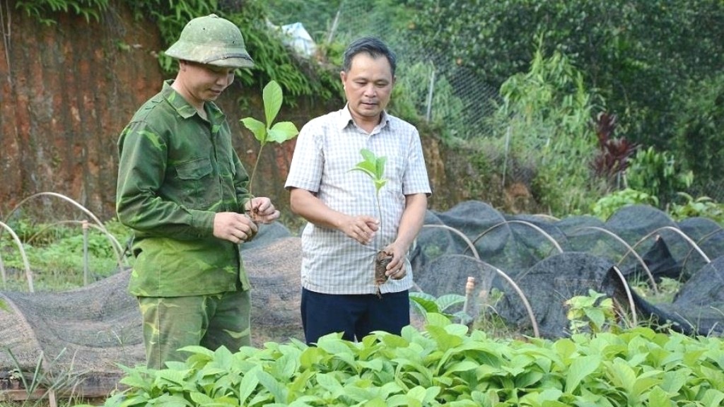 Đồng hành cùng thanh niên dân tộc phát triển kinh tế, xã hội