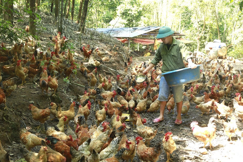 Đồng hành cùng thanh niên dân tộc phát triển kinh tế, xã hội