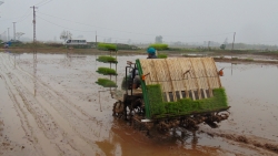 Hà Nội vận hành tối đa công suất các trạm bơm để đảm bảo đủ nước phục vụ gieo cấy