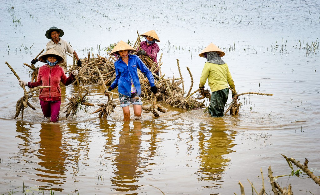 Công bố kết quả cuộc thi Ảnh và Câu chuyện “Phụ nữ trước bão dông”