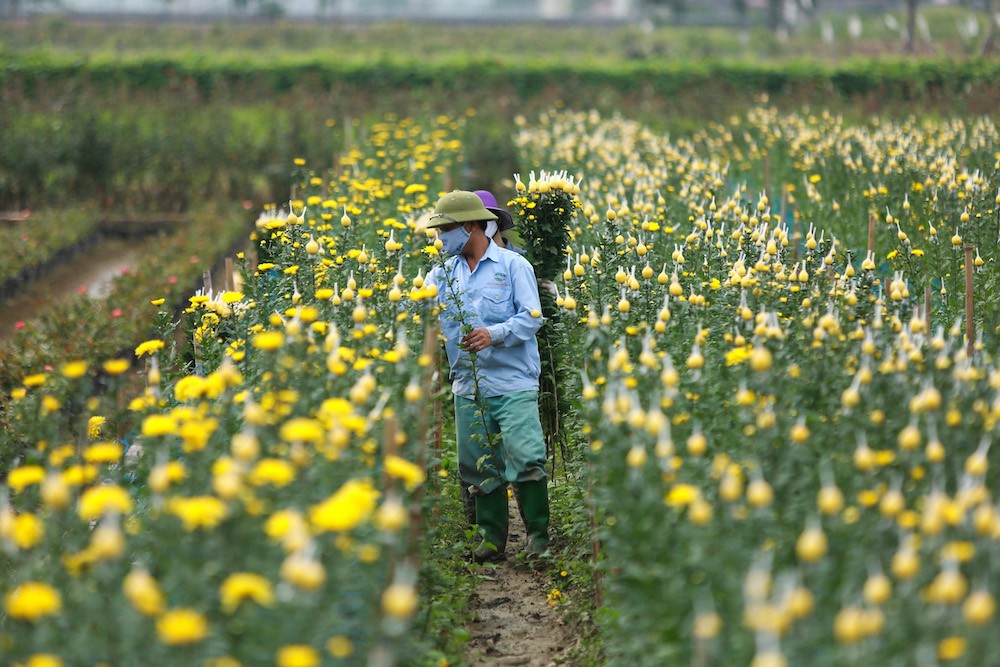 Huyện Nông thôn mới phải có tỉ lệ hài lòng của người dân đạt từ 90% trở lên