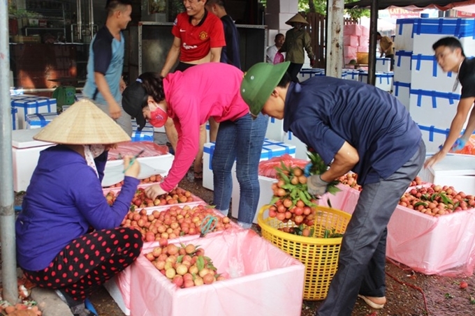 Thúc đẩy tiêu thụ nông sản trước diễn biến phức tạp của dịch Covid-19