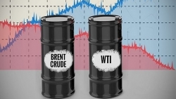 Giá xăng dầu hôm nay 31/5: Ghi nhận tuần tăng giá mạnh