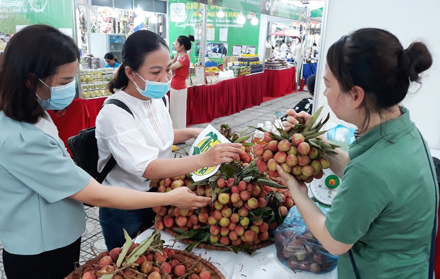 Hỗ trợ các tỉnh, thành phố tiêu thụ nông sản đặc sản