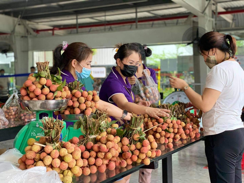 Công ty Tân Đệ hỗ trợ bà con Bắc Giang tiêu thụ gần 50 tấn vải thiều