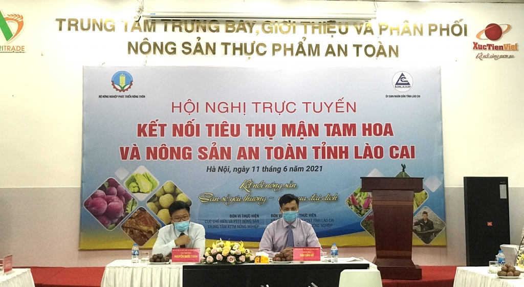 Hỗ trợ kết nối tiêu thụ mận Tam hoa và nông sản an toàn tỉnh Lào Cai