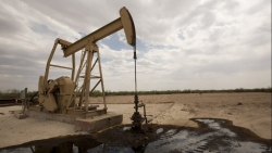 Giá xăng dầu hôm nay 24/6: Giá dầu có xu hướng giảm nhẹ