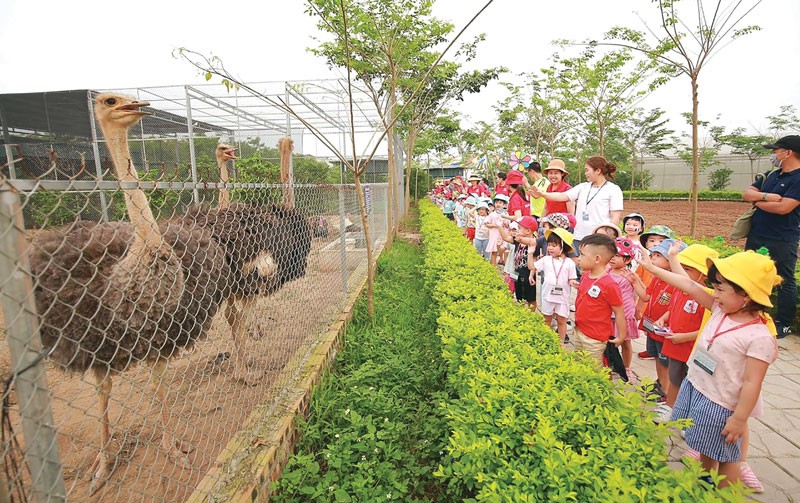 Thêm yêu thương trẻ qua những món quà nhỏ ý nghĩa