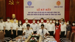 Bảo hiểm xã hội Việt Nam và Tổng cục Thuế chia sẻ dữ liệu và phối hợp công tác