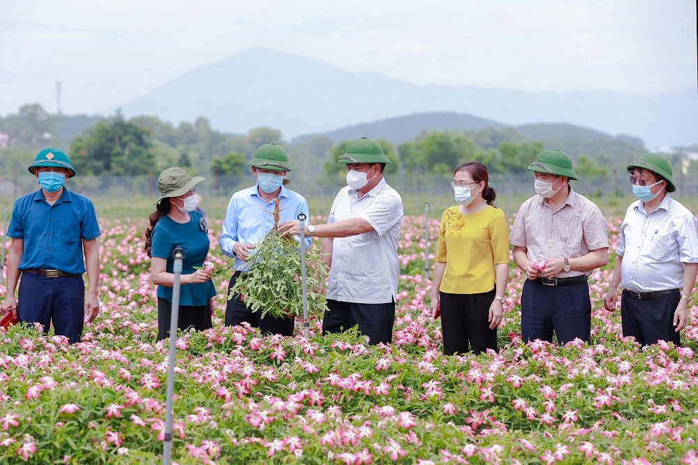 Xây dựng Nông thôn mới ở Hà Nội: Làm đâu chắc đó, không nợ đọng tiêu chí