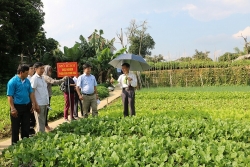 Đời sống người dân Điện Biên chuyển biến tích cực nhờ chương trình Nông thôn mới