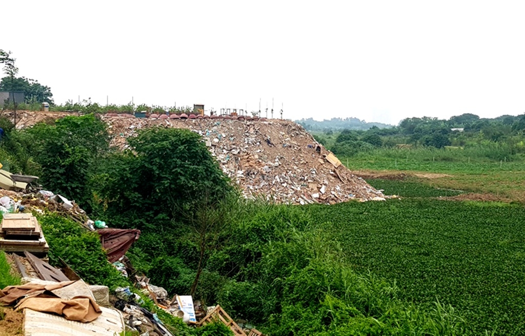 Tăng cường quản lý hành lang chân đê đảm bảo an toàn thoát lũ