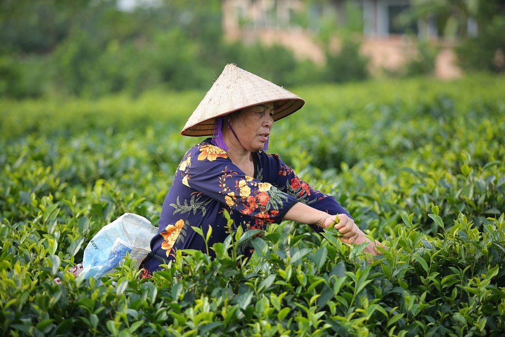 Xã Khánh Thượng (Ba Vì): Tập trung phòng chống dịch, xây dựng Nông thôn mới