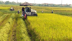 Mở rộng “vùng xanh” nông nghiệp an toàn giúp nông dân yên tâm sản xuất