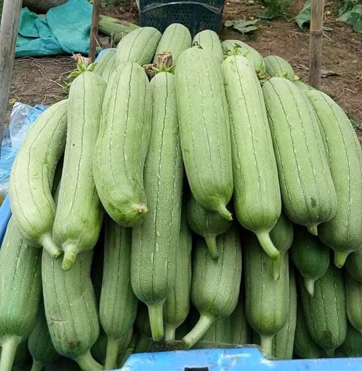 Hỗ trợ, kết nối tiêu thụ nông sản từ Vùng 2, 3 vào Vùng 1
