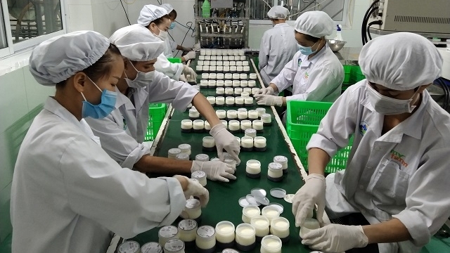 Sữa nông trại Myfarm: Mang cả thiên nhiên vào từng sản phẩm OCOP