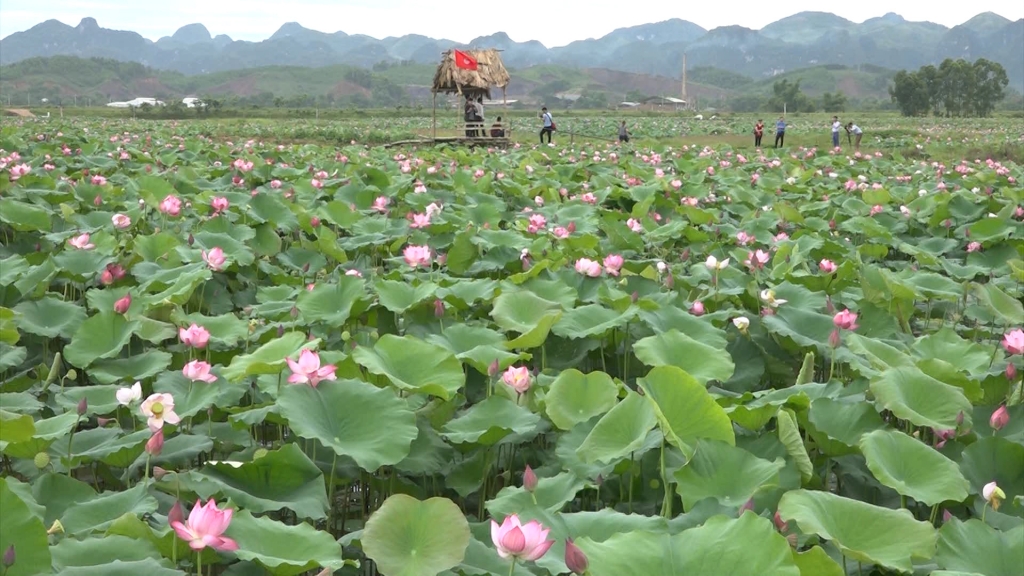 Hà Nội tập trung nguồn lực phát triển kinh tế, xã hội vùng đồng bào dân tộc thiểu số