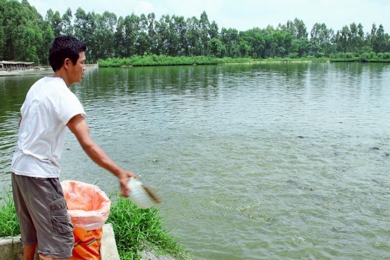 Hà Nội mở rộng diện tích nuôi trồng thủy sản ở 