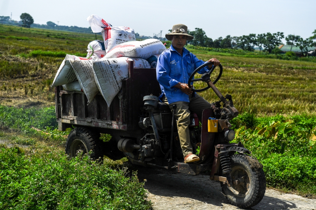 Các địa phương khẩn trương sản xuất, gối vụ phục vụ dịp Tết Nhâm Dần