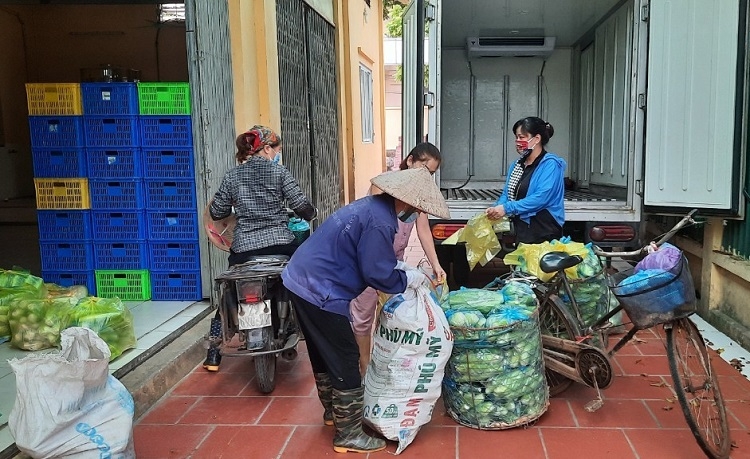 Các vùng sản xuất nông nghiệp trọng điểm tăng tốc, mở rộng sản xuất