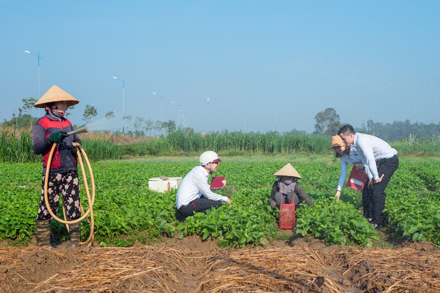 Trong khó khăn, Agribank vẫn luôn đồng hành cùng người dân và doanh nghiệp