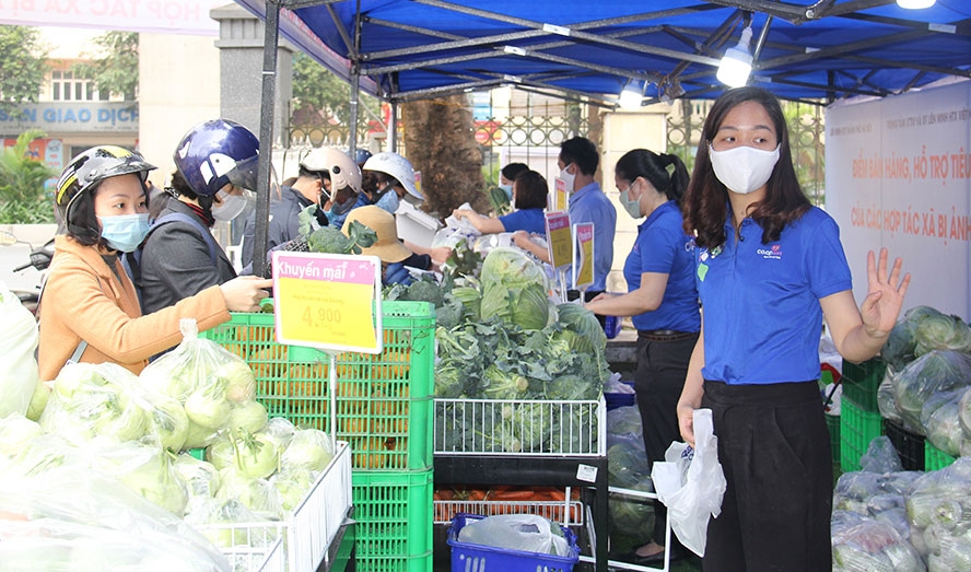 Đẩy mạnh liên kết sản xuất với tiêu thụ thực phẩm giữa Hà Nội và các tỉnh