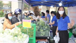 Đẩy mạnh liên kết sản xuất với tiêu thụ thực phẩm giữa Hà Nội và các tỉnh
