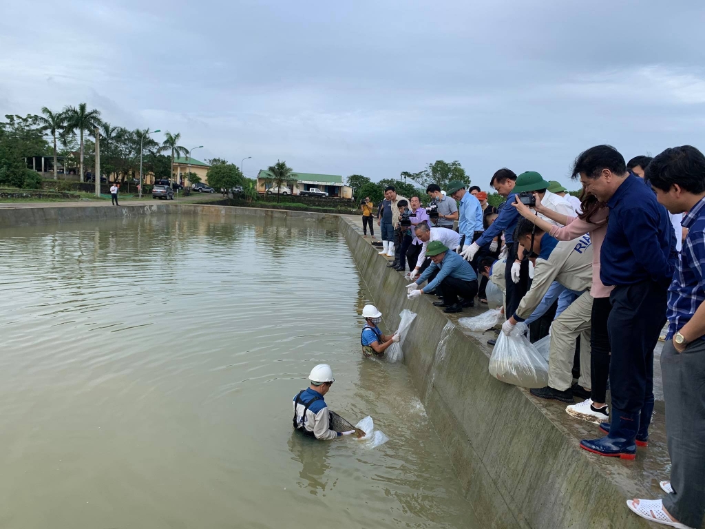 Hỗ trợ các tỉnh miền Trung phục hồi sản xuất nhanh và hiệu quả hơn