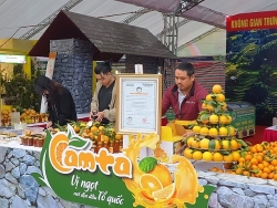 Cam Hà Giang - “Món ngon tinh hoa ẩm thực Việt”