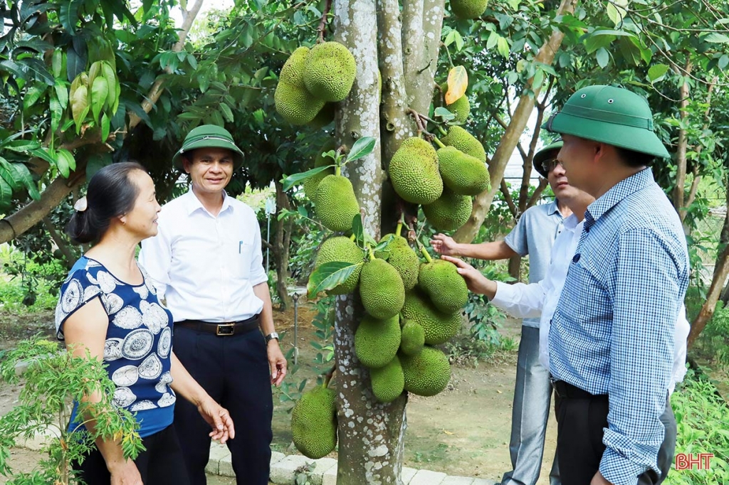 Nông thôn mới góp phần biến vùng đất nghèo thành miền quê đáng sống