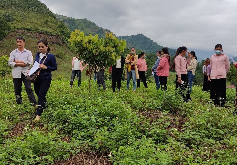 Đồng hành cùng người dân tỉnh Điện Biên trong sản xuất nông nghiệp dinh dưỡng