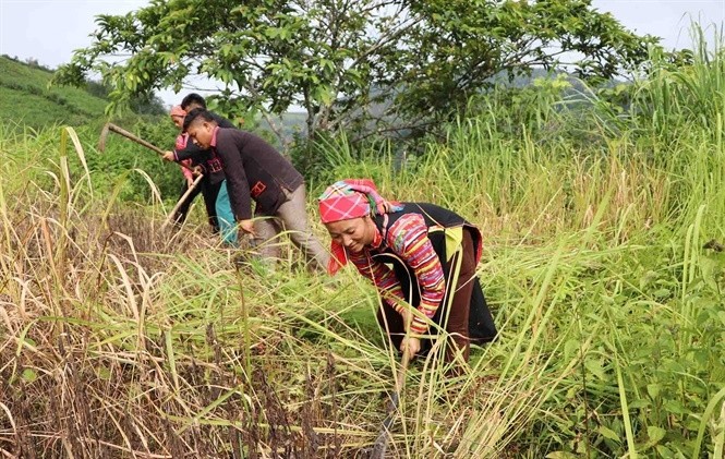 Tập huấn sản xuất nông nghiệp đảm bảo dinh dưỡng cho người dân tỉnh Cao Bằng