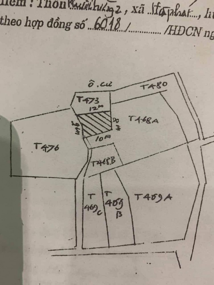 Vụ người chết "ký" giấy tứ cận: TAND TP Đà Nẵng xét xử sơ thẩm trở lại vào 17/3